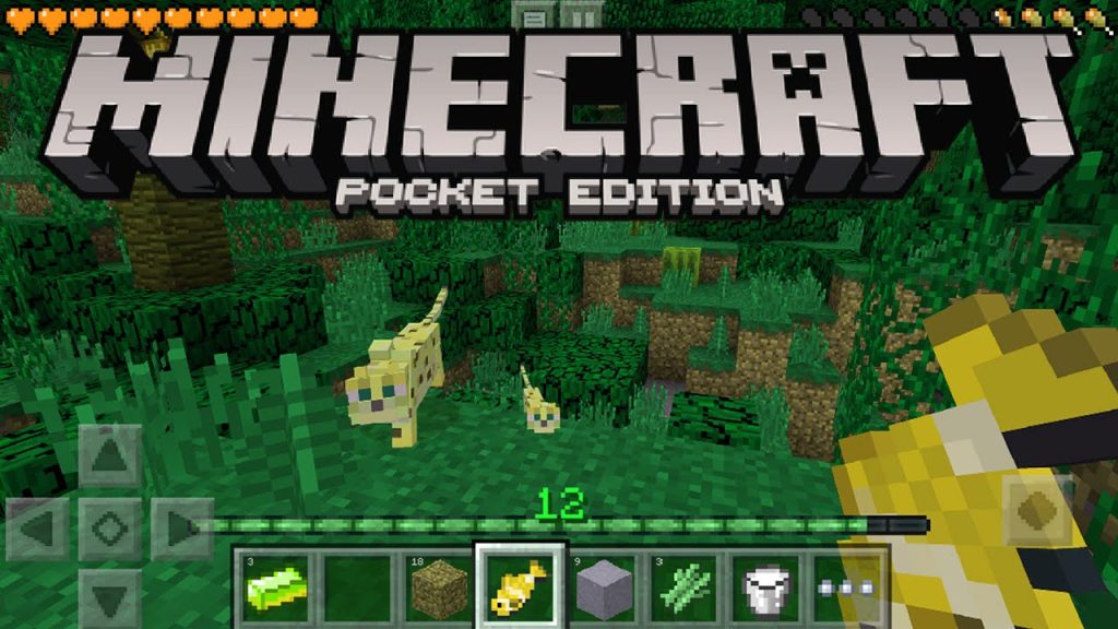 ความแตกต่างระหว่าง Minecraft Pocket Edition