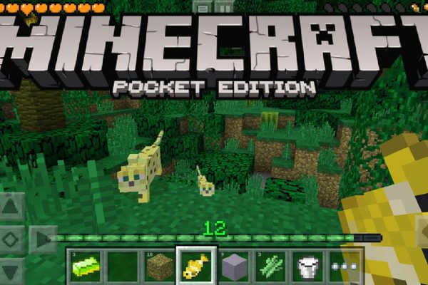 ความแตกต่างระหว่าง Minecraft Pocket Edition